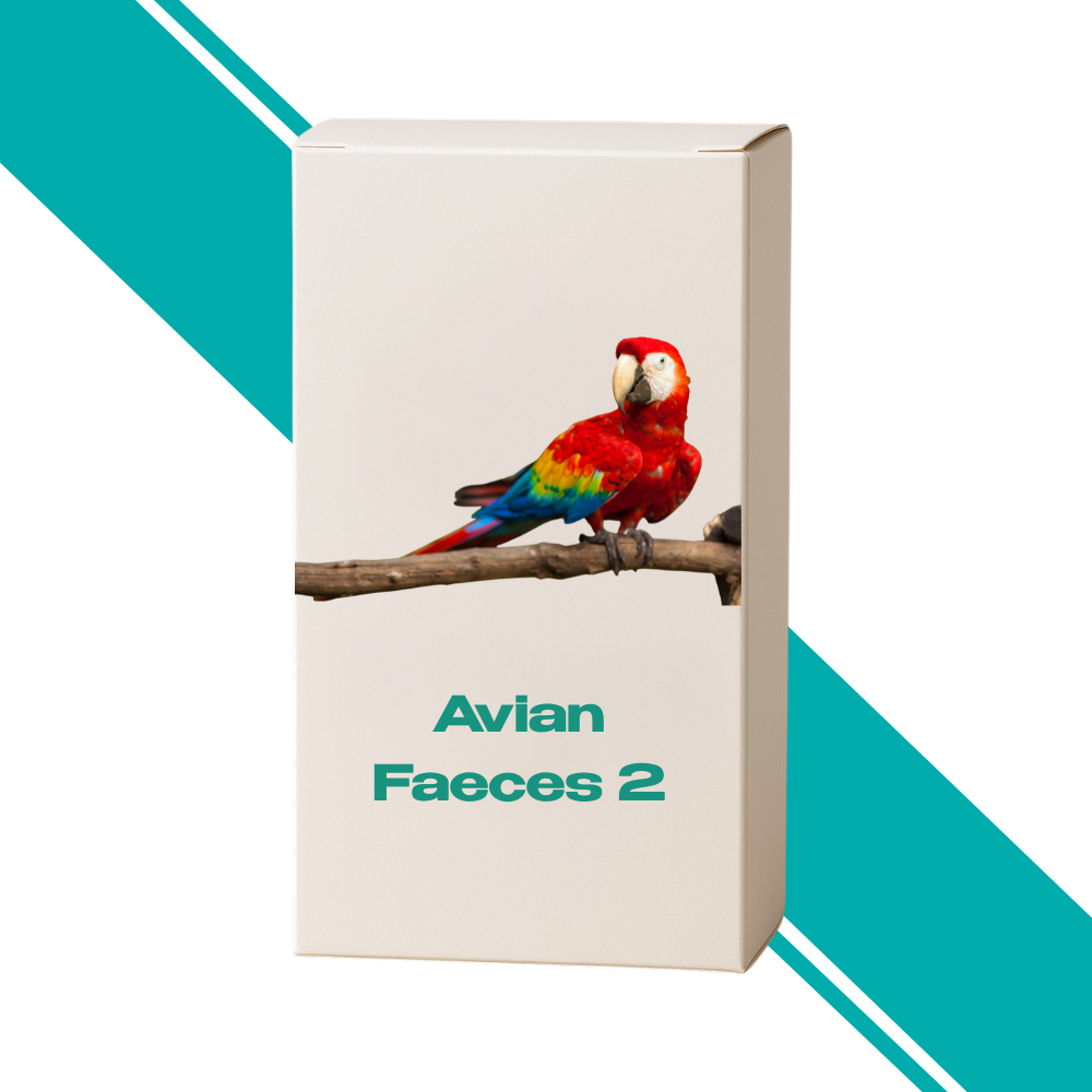 Avian Faeces 02